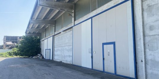 Cod. 303 Guardamiglio (Lo), via Emilia 10